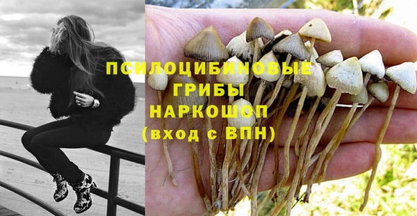 бошки Бугульма