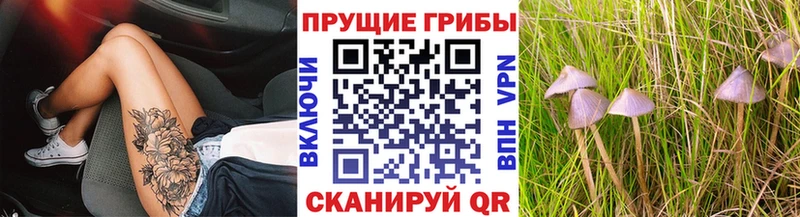 закладки  Медногорск  Псилоцибиновые грибы прущие грибы 